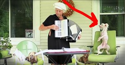 Pup Dancing To This Granny's Accordion Will Make You Smile 