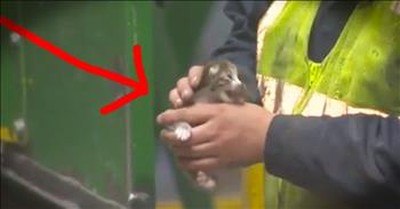 Tiny Kitten Is Rescued Seconds Before Being Crushed 