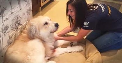 Abused Dog is Reunited With Rescuer – So Many Feels! 