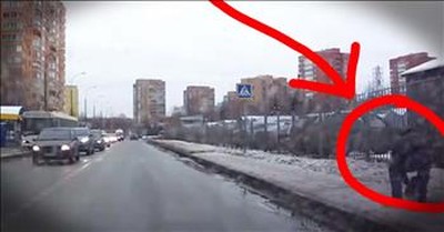 Good Samaritan Stops Traffic To Help Dog Cross Road 