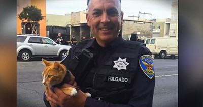 Cat Saves Owner From Ending Their Life