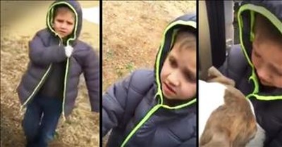 Little Boy's Reunion With His Lost Dog Is Too Sweet 