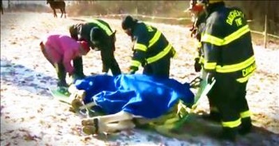 Horse's Dramatic Ice Rescue Is True Kindness 