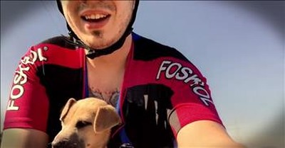 Biker Rescues Abandoned Puppy In Box 