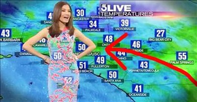 Meteorologist's Dress Creates Hilarious Green Screen View! 