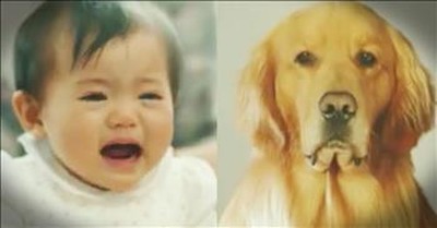 Scared Baby Learns To Love Family Dog In The Sweetest Way 