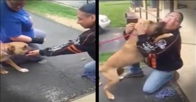 Dog Recognizes His Lost Human After 2 Years 