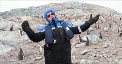 Penguins Have Funny Reaction To Opera Singer 