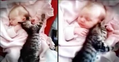This Baby And Kitten Snuggle Fest Is The Cutest 