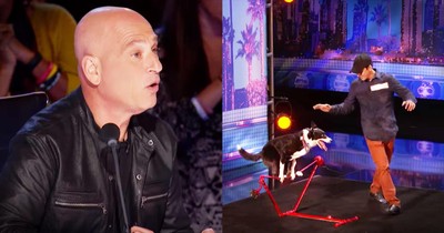 Talented Dog's Dance Routine Audition Is Too Cute To Miss 
