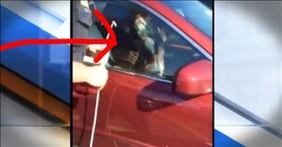 Stranger Saves Elderly Dog Trapped In Hot Car 