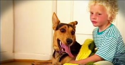 Rescue Dog Changes The Life Of A Struggling Little Boy 