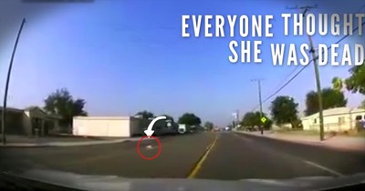 Dead Dog's Rescue Will Move You 