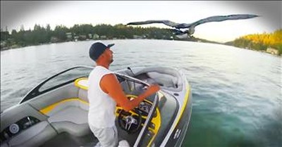 Abandoned Goose Becomes Best Friends With A Man In A Boat 