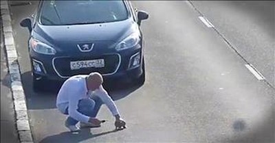 Kind Man Stops Car On Highway To Save Baby Kitten 