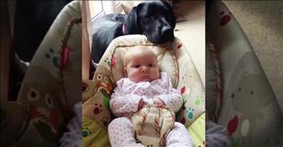 Precious Lab Helps Rock The New Baby 