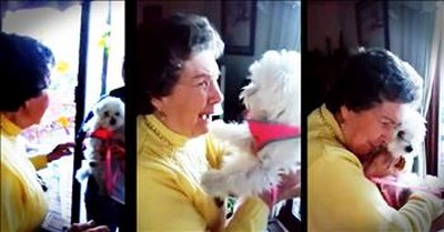 Grandma Has Sweet Reaction To Her Surprise Puppy 
