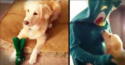 Couple Brings Their Dog's Favorite Toy To Life 