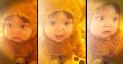 Baby Dressed As Tiny Lion Has Adorable Roar