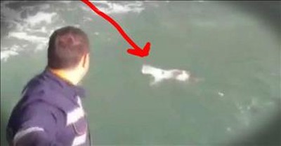 Men Rescue A Cat They Find In The Middle Of The Sea 