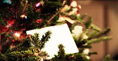 White Envelope On A Christmas Tree Changes A Man's Heart 