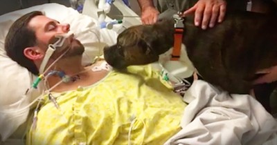 Dog Says Goodbye To Dying Owner In The Hospital