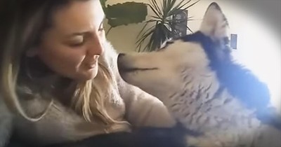 Singer Serenades Husky With 'I Will Always Love You'