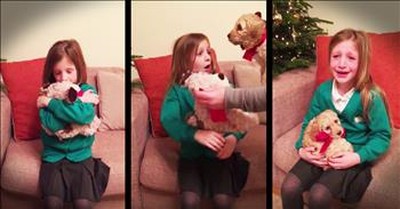 Little Girl Gets Surprise Puppy For Christmas 