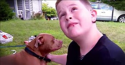 Hero Pit Bull Saves Family From House Fire 