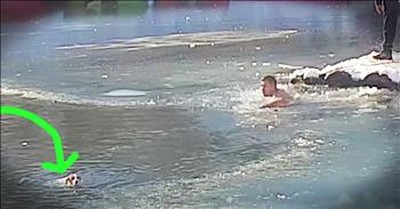 Strangers Rescue Dog Drowning In Freezing Lake 