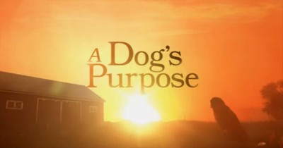This Trailer For 'A Dog's Purpose' Will Have You Laughing and Crying