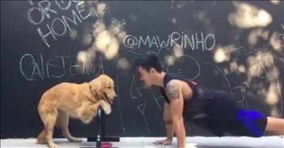 Pets vs Exercise...Who Will Win? 