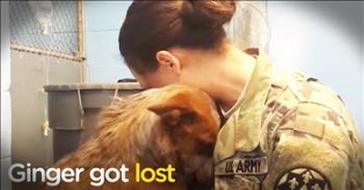 Lost Dog Reunites With Her Momma After Weeks In A Shelter 