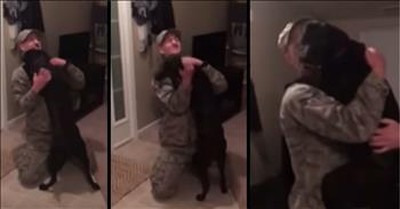 Pilot Comes Home From A 6 Month Deployment To The Warmest Doggie Welcome  