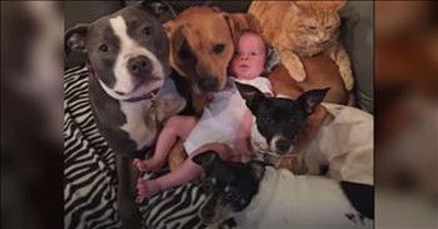 Lucky Baby Completely Surrounded By Furry Love  