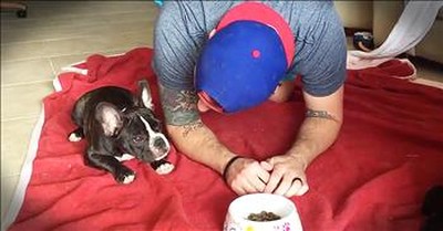 Dog And Owner Pray Together Before Meals 