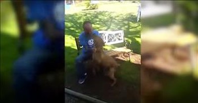 Dog Recognizes Owner After Losing Weight  
