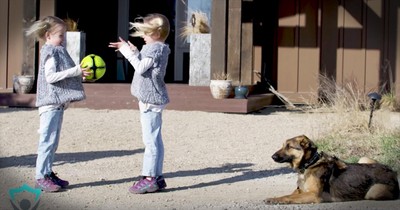 Safety Warning Shares How A Dog Can Save Your Family