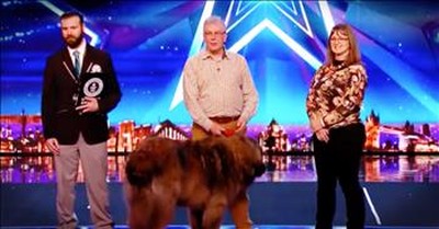 Married Couple And Dog Break World Record With Audition  