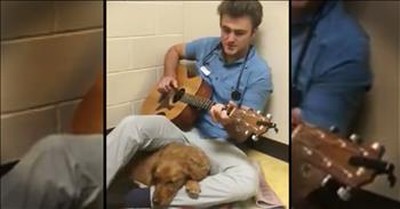 Vet Plays Sweet Song For Pup Going Into Surgery 
