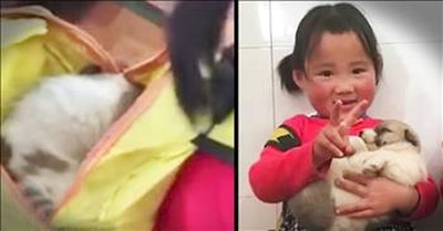 Kindergartener Hides Stray Puppy In Backpack 