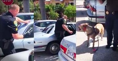 Heroic Officer Saves Dog Trapped In A Hot Car 