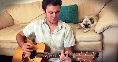 Singing Vet Serenades Pug