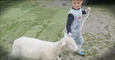 5-Year-Old Shepherd Is Adorable 