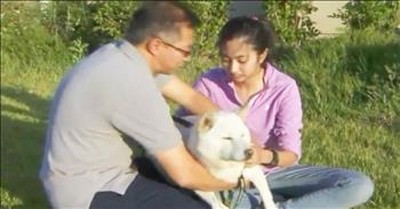 Good Samaritan Rescues Dog From Coyotes 