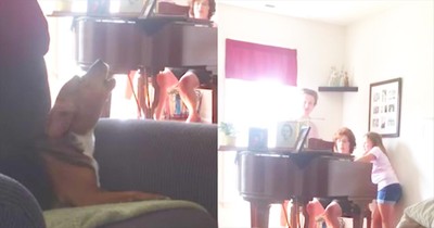 Dog Joins In On Hymn During Piano Practice