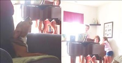 Dog Joins In On Hymn During Piano Practice 