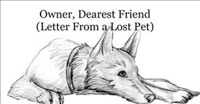 Poem From Lost Pets To Their Owners 