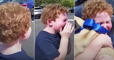 Boy Cries Getting Dog For Birthday