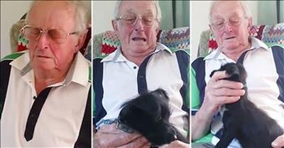 Grandpa Receives Puppy For Birthday 